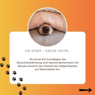 Giftköder-GO SNIFF - Geruchsentdeckung-Bild