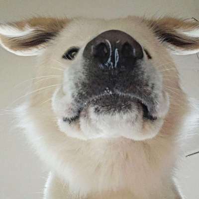 Fotochallange Nr. 57     PORTRÄT.   Beendet!!!!!!!!-Beitrag-Bild