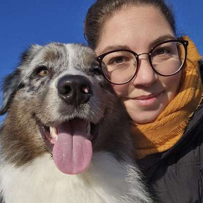 Hundetreffen-Welpentreffen Stephansposching-Bild
