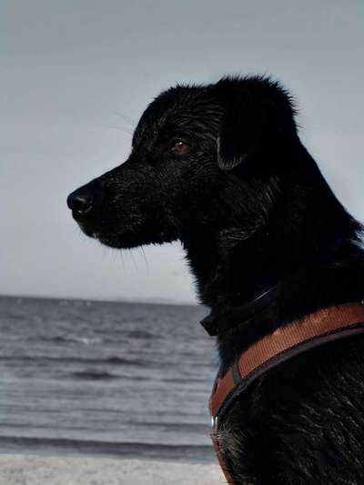 Lieblingsbild-Beitrag-Bild