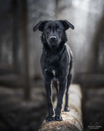 Lieblings Fotos-Beitrag-Bild