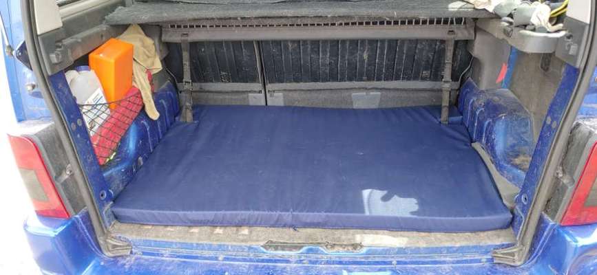 Wo fährt euer Hund im Auto mit?-Beitrag-Bild