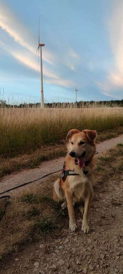 Theos Fotochallenge Nr. 3-Beitrag-Bild