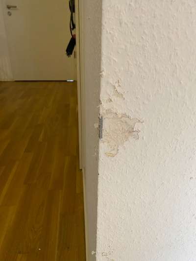 Zeig mir, dass du mit einem hund zusammenlebst....-Beitrag-Bild