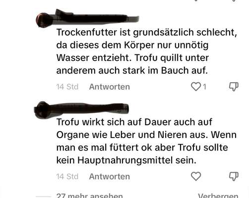 Ist Trockenfutter schädlich?-Beitrag-Bild