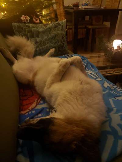 Die unbequemsten und lustigsten Schlafpositionen-Beitrag-Bild