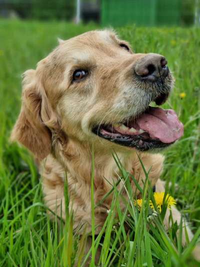 Blick fürs Detail!-Beitrag-Bild