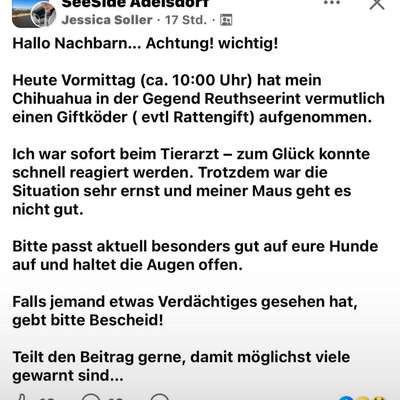 Giftköder-Rattengift Reuthseering-Bild