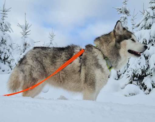 Lieblings Fotos-Beitrag-Bild