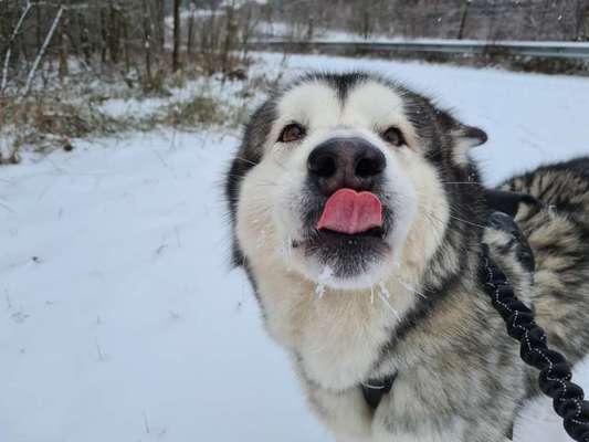 Handy-foto Challange nr. 11-Beitrag-Bild