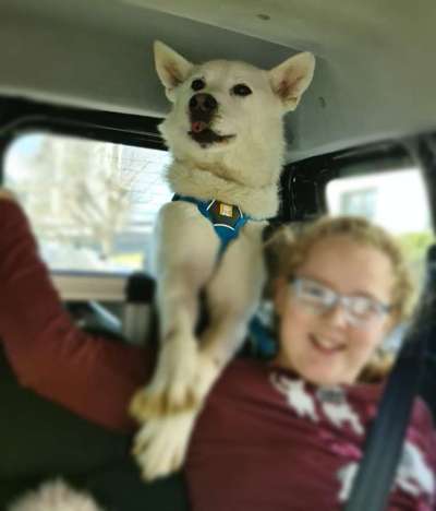 Lieblings Fotos-Beitrag-Bild