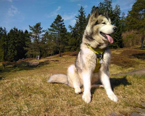 Fotowettbewerb Natur-Beitrag-Bild