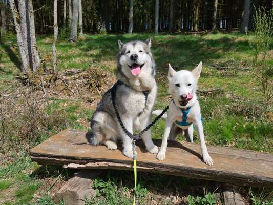 Handyfoto challenge Nr. 13: Waschlappen raus!-Beitrag-Bild