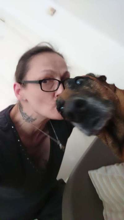 Mischlinge raten - Rätselspaß-Beitrag-Bild