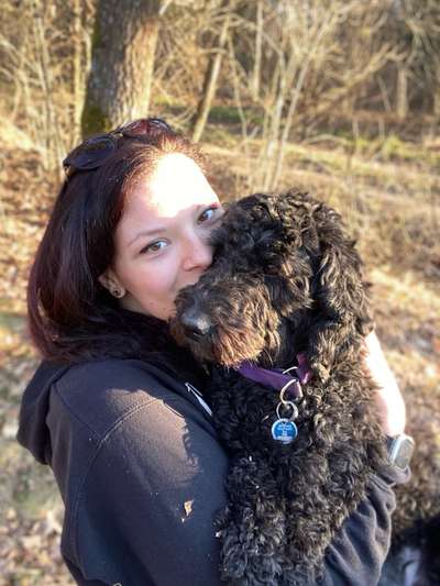 Zeigt mal die schönsten Bilder von euren Hunden !-Beitrag-Bild