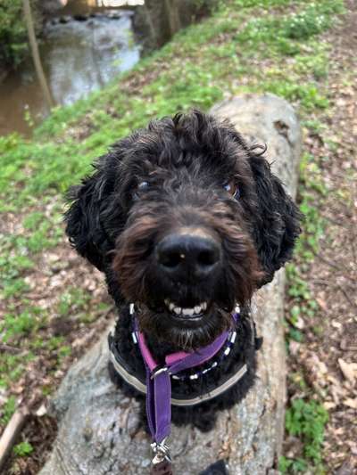 Das beste grinsefoto-Beitrag-Bild