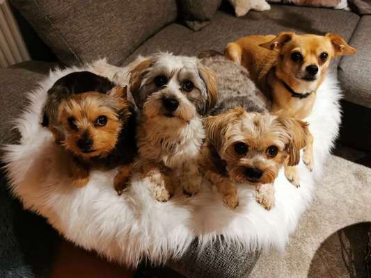 Ratespaß geht weiter-Beitrag-Bild