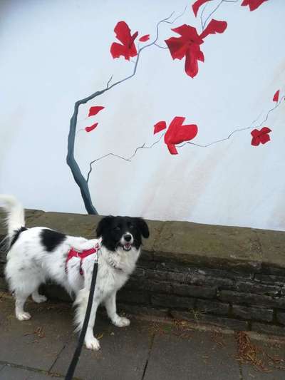 14. Farbenfoto-Challenge "Weiss"-Beitrag-Bild