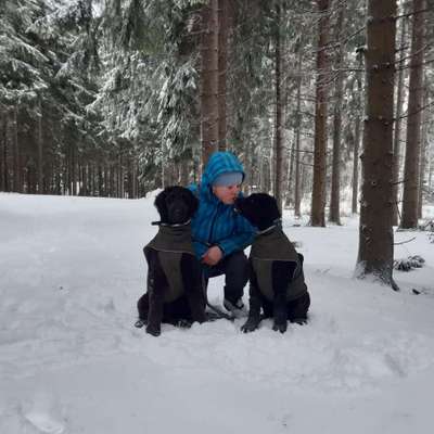 Hundetreffen-Training Hundebegegnung-Profilbild