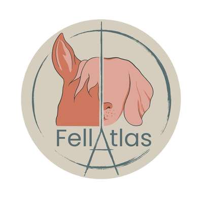 Medizinische Dienstleistung FellAtlas - Physiotherapie für Hunde und Pferde in Linkenheim-Hochstetten  – Dogorama
