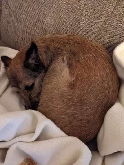 Fotochallange - Eingekugelt-Beitrag-Bild