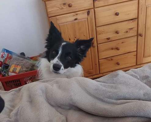 150. Foto Challaenge:  Die Augen, der Spiegel der Seele-Beitrag-Bild