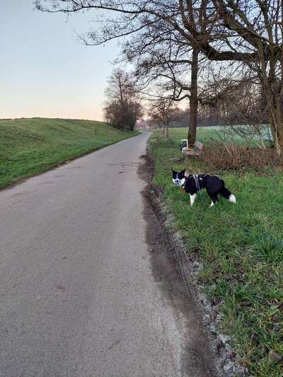 Regenjacke die wirklich hält, was sie verspricht-Beitrag-Bild