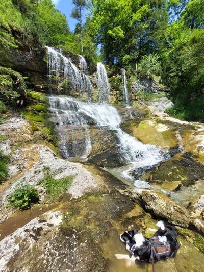 Kurzgeschichten-Challenge Nr. 18-Beitrag-Bild