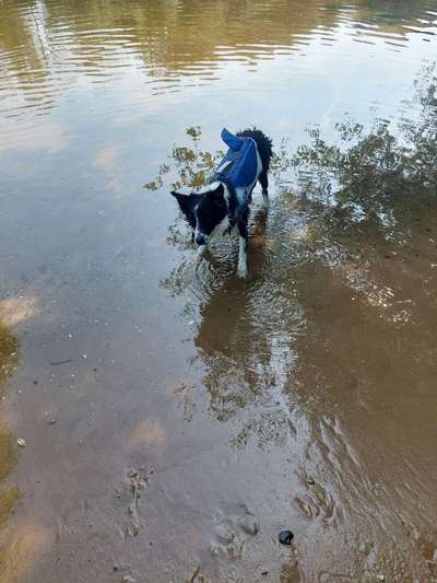 Passform Schwimmweste-Beitrag-Bild