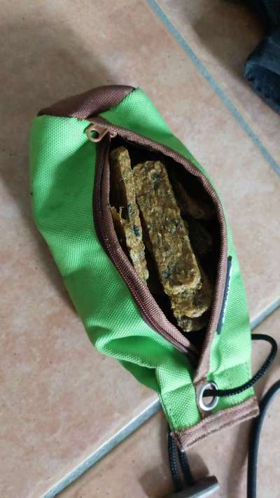 Wie sitzt mein Maulkorb / Maulkorb-Beratung-Beitrag-Bild