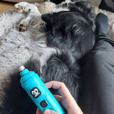 Krallenschleifer Empfehlungen gesucht-Beitrag-Bild