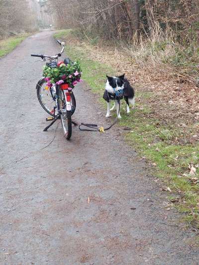 Welche Fahrräder nutzt ihr?-Beitrag-Bild