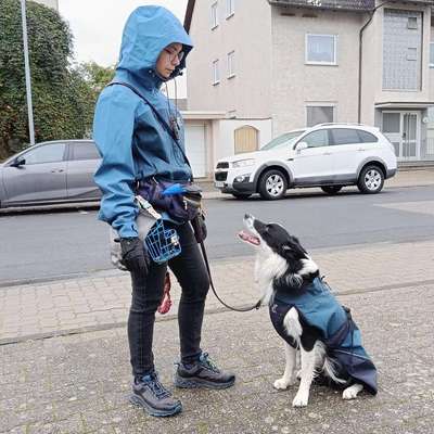 Wie sitzt mein Maulkorb / Maulkorb-Beratung-Beitrag-Bild