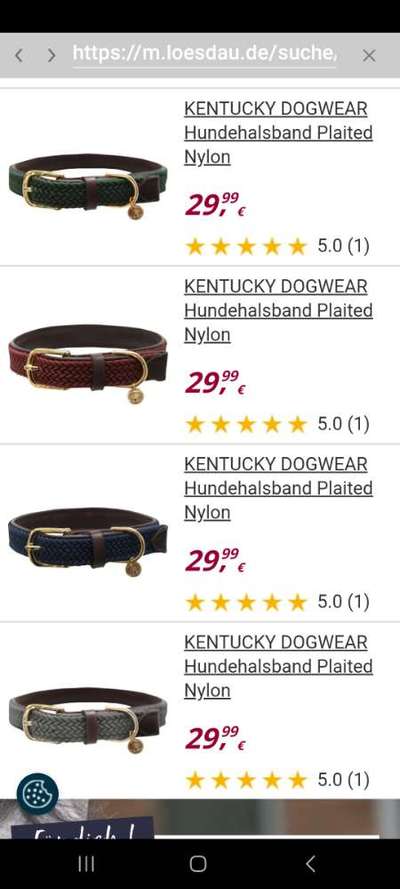 Welches Halsband trägt dein Hund und warum dieses?-Beitrag-Bild