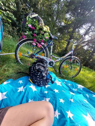 Welche Fahrräder nutzt ihr?-Beitrag-Bild