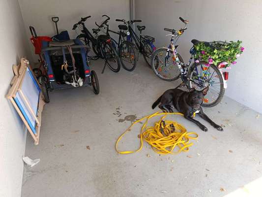 Welche Farbe für Zubehör /Buggy-Beitrag-Bild