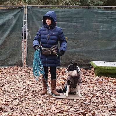 Hundetreffen-Training von Hundebegegnungen im Raum Offenbach/ Hanau-Profilbild