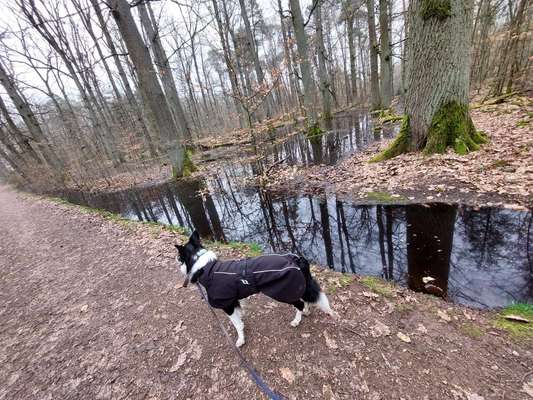 Regenmantel empfehlung?-Beitrag-Bild