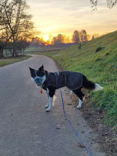Schleppleine 15 Meter-Beitrag-Bild