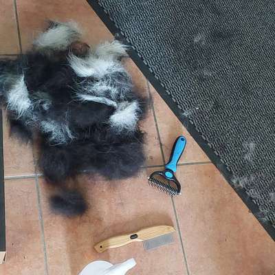 Bürstenempfehlung-Beitrag-Bild