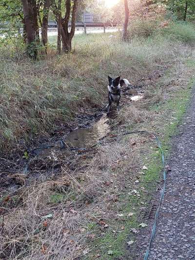 65. Handy Foto Challange                     "Ich kann nicht ohne..."-Beitrag-Bild