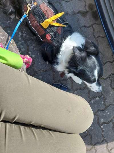 Ansprache durch fremde Personen.
Was sagt ihr dazu?-Beitrag-Bild