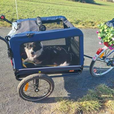 Fahrradkorb-Beitrag-Bild