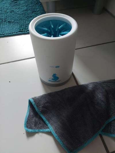 Erfahrung mit Pfotenreiniger-Beitrag-Bild