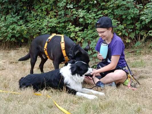 Reisenapf für Maulkorbträger-Beitrag-Bild