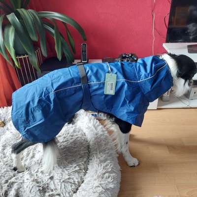 Welche Mäntel empfehlt ihr?-Beitrag-Bild