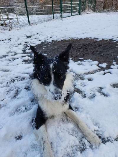 14. Farbenfoto-Challenge "Weiss"-Beitrag-Bild