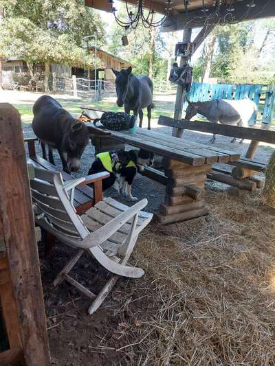 155. FotoChallange * David und Goliath *-Beitrag-Bild