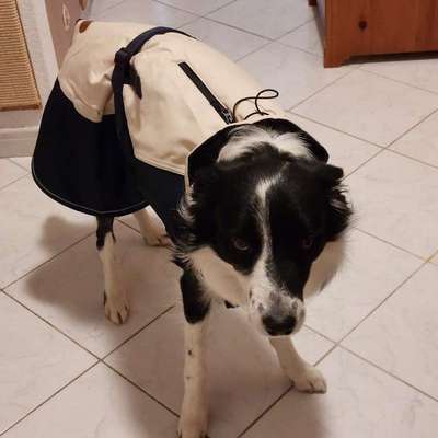 Welche Mäntel empfehlt ihr?-Beitrag-Bild