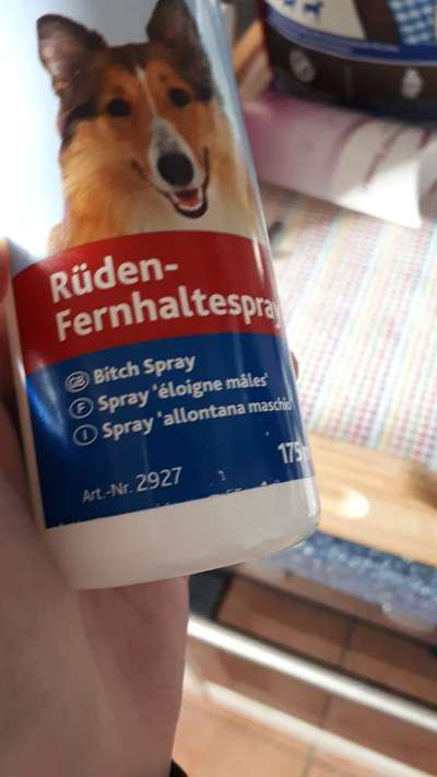 Rüde lässt Weibchen nicht mehr in Ruhe-Beitrag-Bild